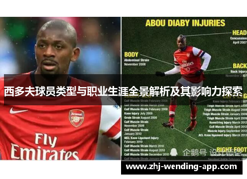 西多夫球员类型与职业生涯全景解析及其影响力探索 西多夫球员类型与职业生涯全景解析及其影响力探索