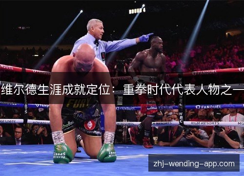 维尔德生涯成就定位:重拳时代代表人物之一 维尔德生涯成就定位:重拳时代代表人物之一